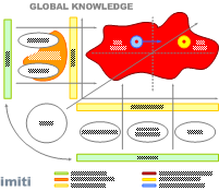 global knowledge